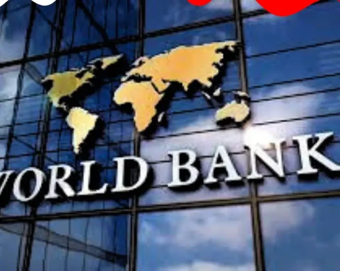World Financial institution Finds 59% of Nigerian Adults Borrowed Money in 2024