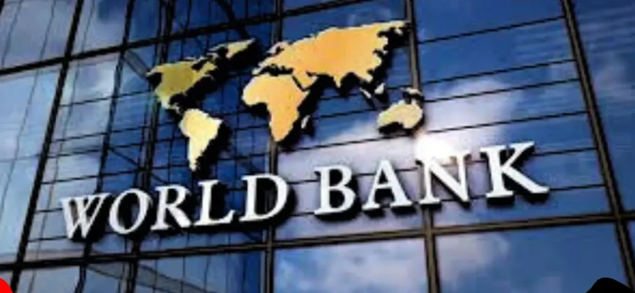 World Financial institution Finds 59% of Nigerian Adults Borrowed Money in 2024