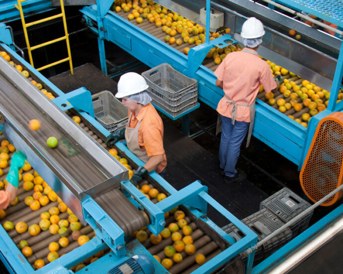 Orange juice importer says Brazil tariffs will squeeze American buyers
