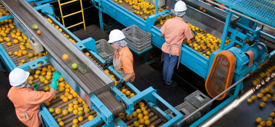 Orange juice importer says Brazil tariffs will squeeze American buyers