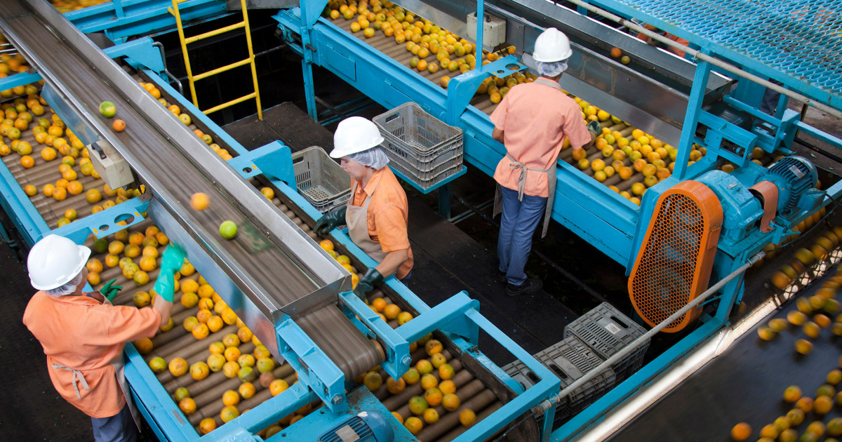 Orange juice importer says Brazil tariffs will squeeze American buyers