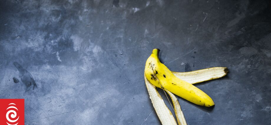 NZ companies adapt to appealing international trouble components