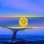 Bitcoin Stagnation Explained: Whales Profit-Possess $115K–$125K Zone
