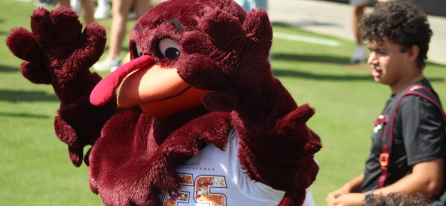 virginia-tech-hokies-vs.-wofford-terriers:-a-view-from-the-sideline