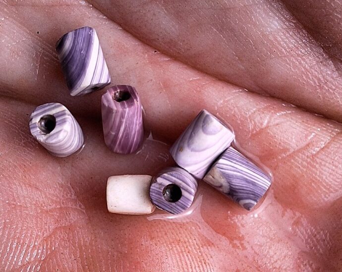 Rare wampum beads chanced on at 17th-century colony in Newfoundland