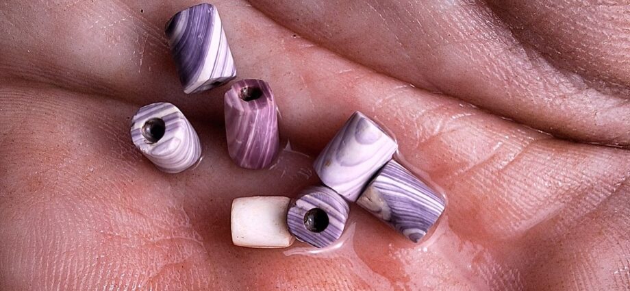 Rare wampum beads chanced on at 17th-century colony in Newfoundland