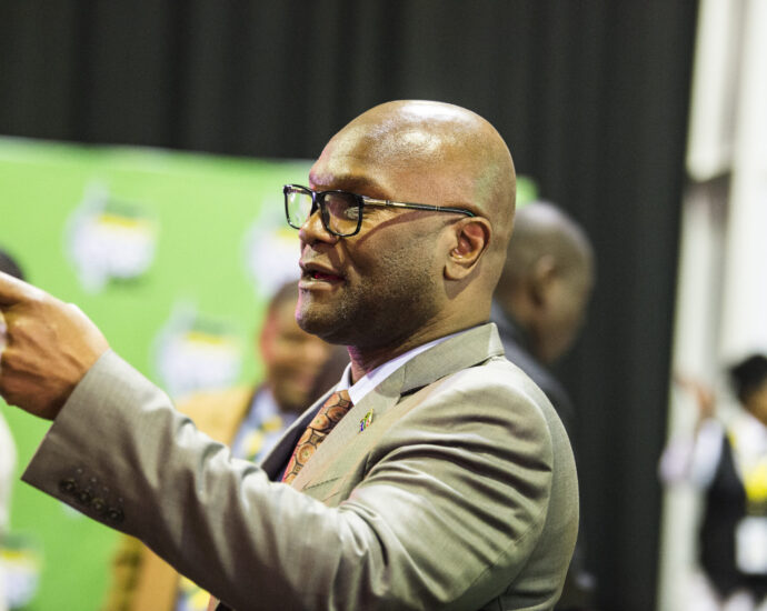 Thriller quiet surrounds Mthethwa’s demise