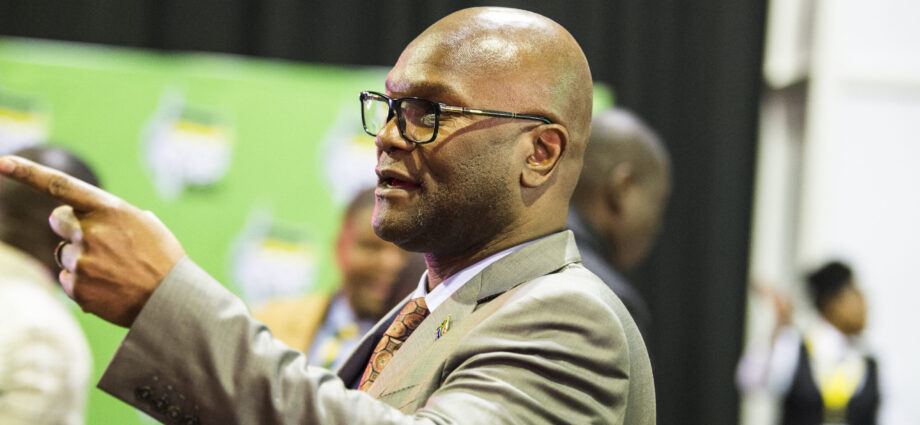 Thriller quiet surrounds Mthethwa’s demise