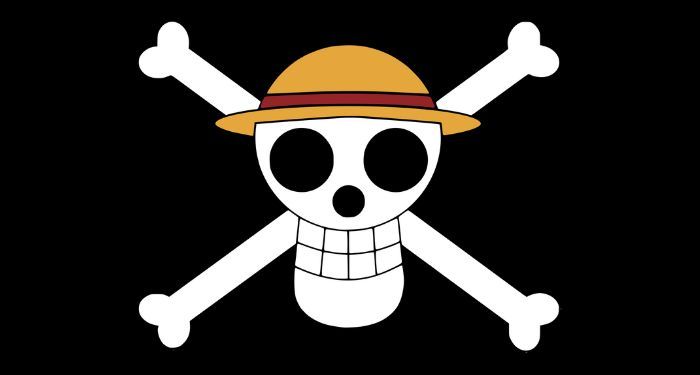 Why Is the One Section Flag Showing Up at Protests?