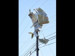 Quit Alert, Quit Alive