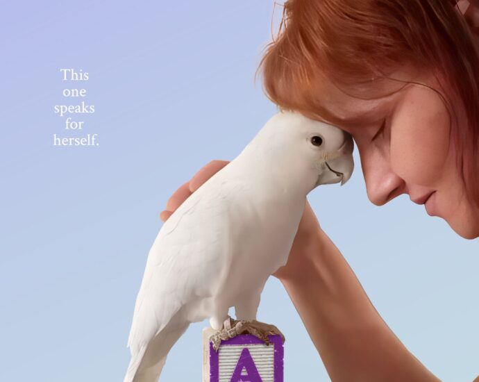 Polly desire a effort counselor?