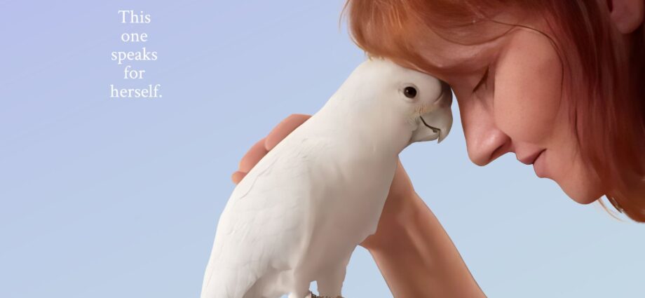 Polly desire a effort counselor?