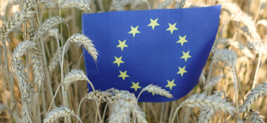 EU bioeconomy approach: What it map for food