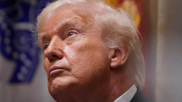 Trump says National Guard will soon trudge to Contemporary Orleans