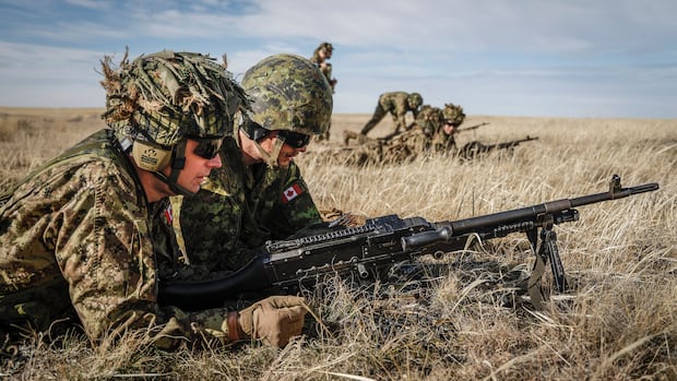 Learning lessons of Ukraine struggle, Canadian militia creates joint uncover
